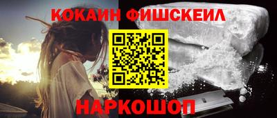 тгк Камышлов