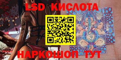 тгк Камышлов