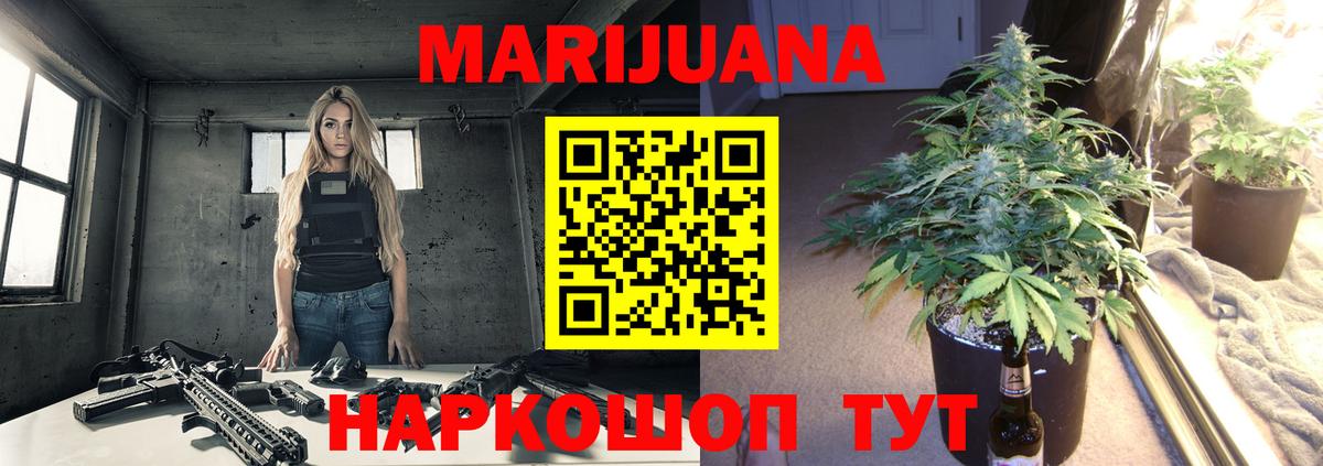 Марихуана конопля Краснодар